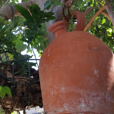 Casa Rural El Rincon * 拉奥罗塔瓦